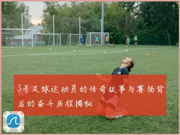 3号足球运动员的传奇故事与赛场背后的奋斗历程揭秘