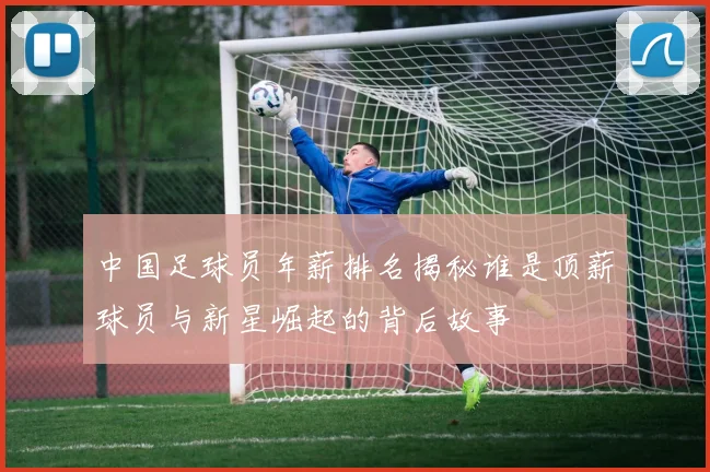 中国足球员年薪排名揭秘谁是顶薪球员与新星崛起的背后故事